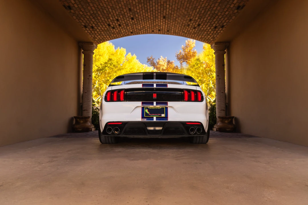 2016 Ford S550 Shelby Mustang GT350R - Image 19 of 31