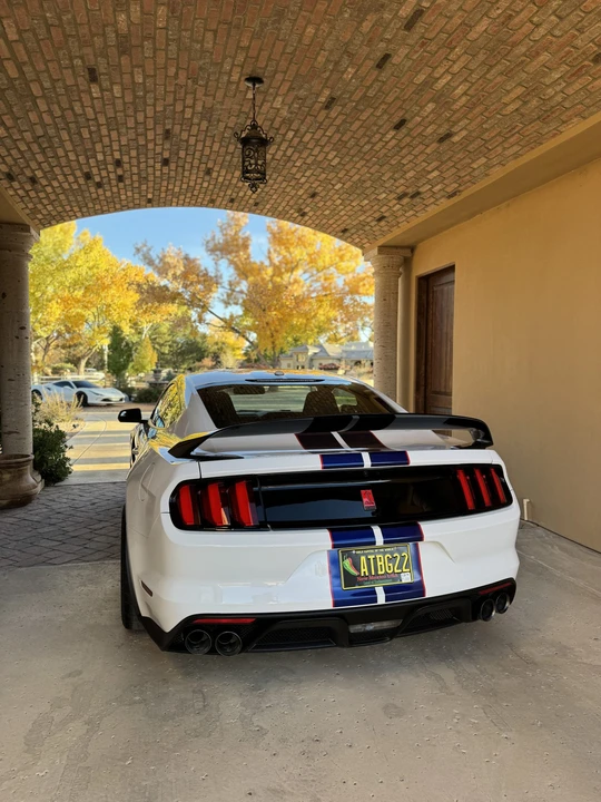 2016 Ford S550 Shelby Mustang GT350R - Image 12 of 31