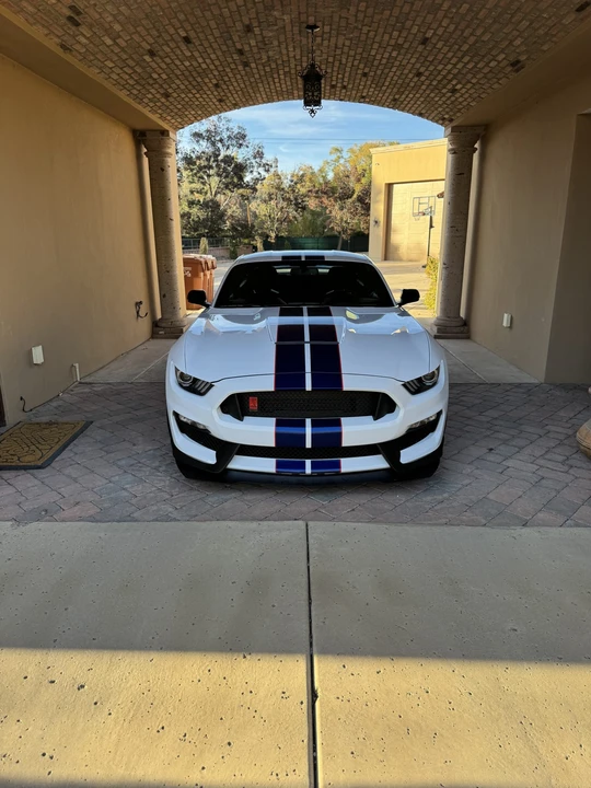 2016 Ford S550 Shelby Mustang GT350R - Image 6 of 31