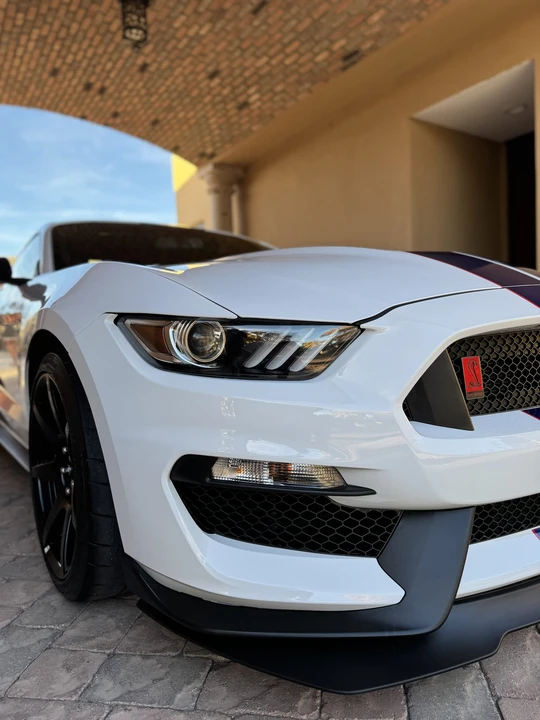 2016 Ford S550 Shelby Mustang GT350R - Image 28 of 31
