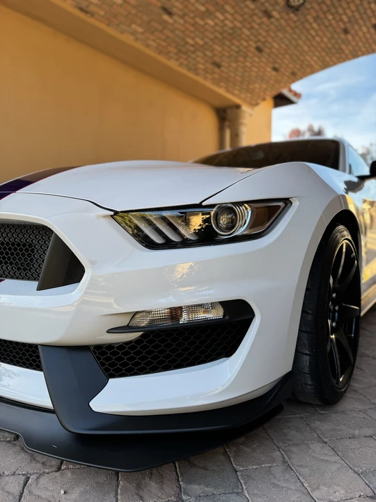2016 Ford S550 Shelby Mustang GT350R - Image 30 of 31