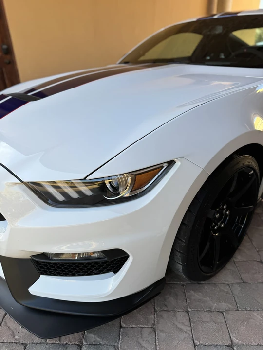 2016 Ford S550 Shelby Mustang GT350R - Image 31 of 31