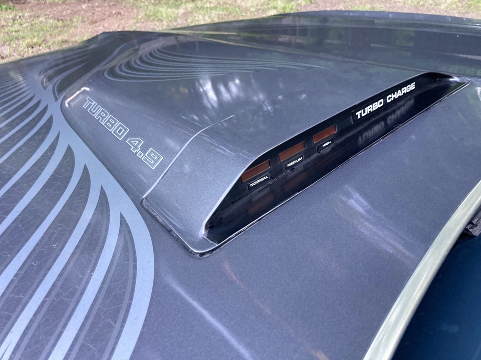 1981 Pontiac Firebird Trans Am 2nd Gen - Image 20 of 31