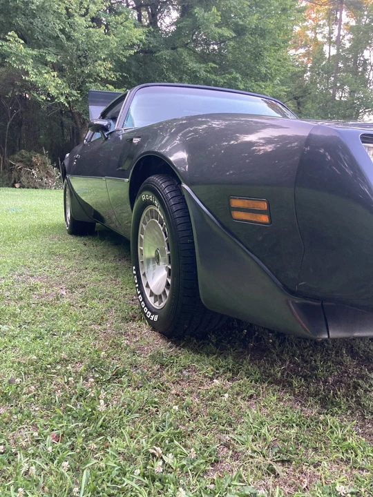 1981 Pontiac Firebird Trans Am 2nd Gen - Image 21 of 31