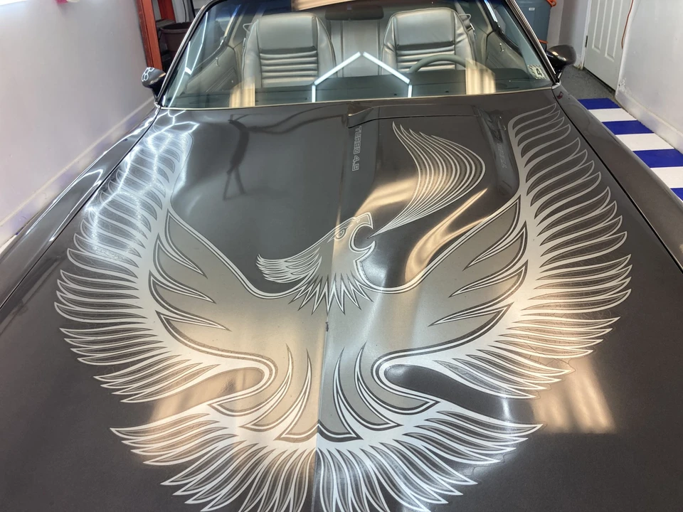 1981 Pontiac Firebird Trans Am 2nd Gen - Image 19 of 31