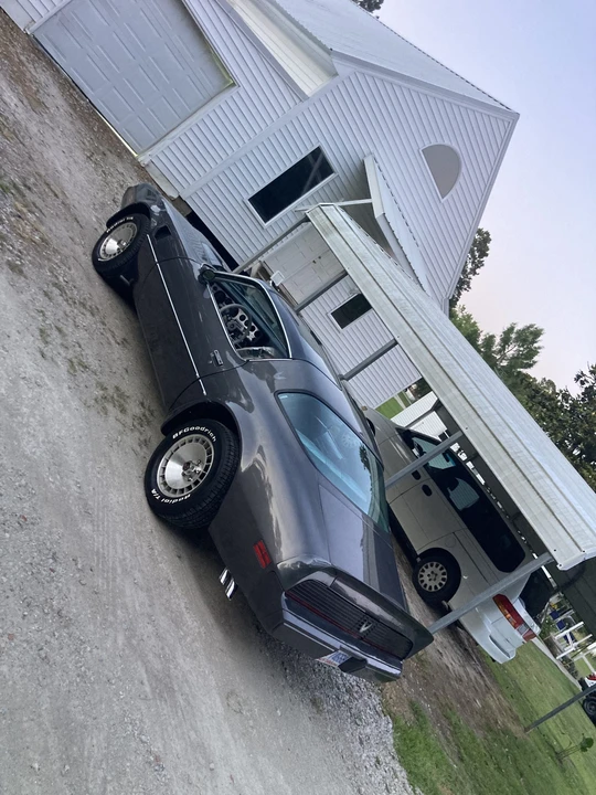1981 Pontiac Firebird Trans Am 2nd Gen - Image 13 of 31