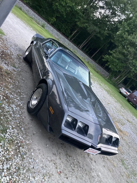 1981 Pontiac Firebird Trans Am 2nd Gen - Image 8 of 31