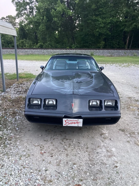 1981 Pontiac Firebird Trans Am 2nd Gen - Image 5 of 31