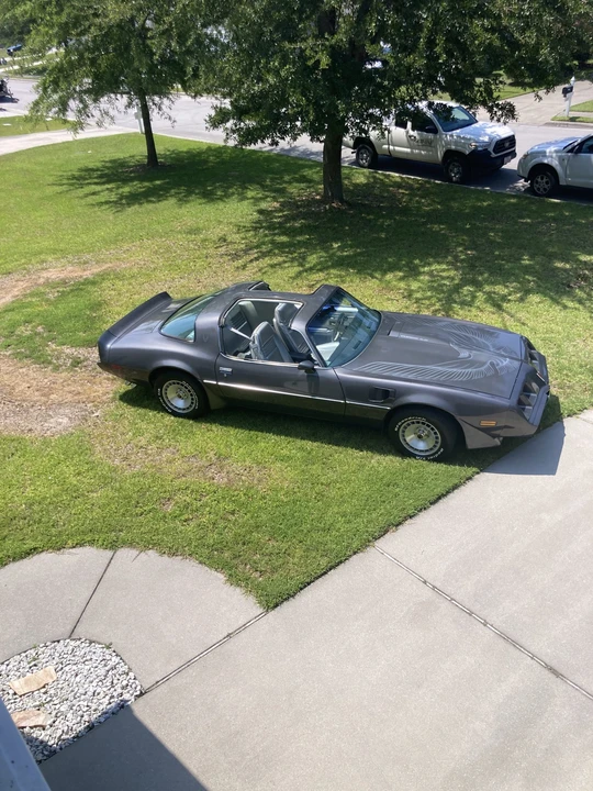 1981 Pontiac Firebird Trans Am 2nd Gen - Image 15 of 31