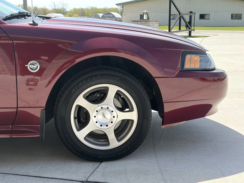 2004 Ford SN95 Mustang - Image 23 of 31