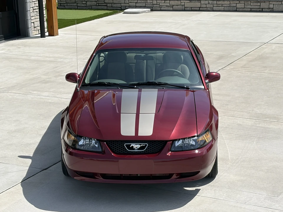 2004 Ford SN95 Mustang - Image 13 of 31