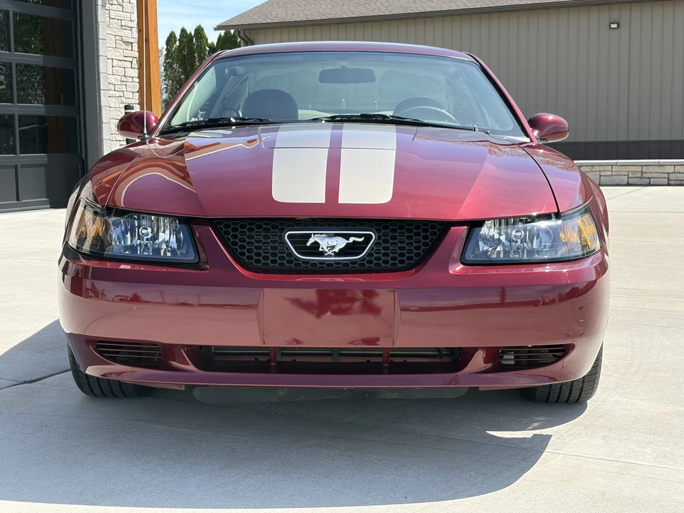 2004 Ford SN95 Mustang - Image 14 of 31