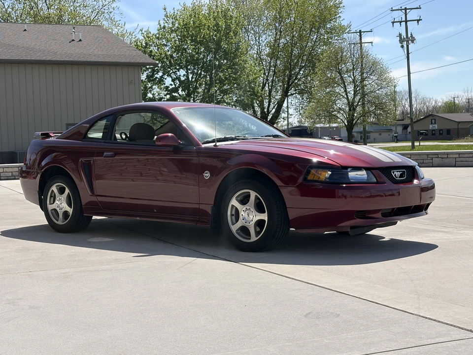 2004 Ford SN95 Mustang - Image 12 of 31