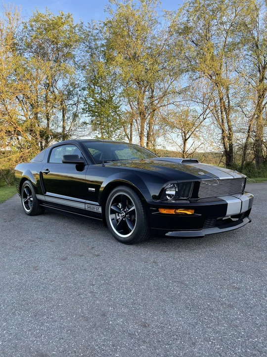 2007 Ford S197 I Shelby Mustang CS6/8 & GT & GT-H & Terlingua - Image 15 of 31