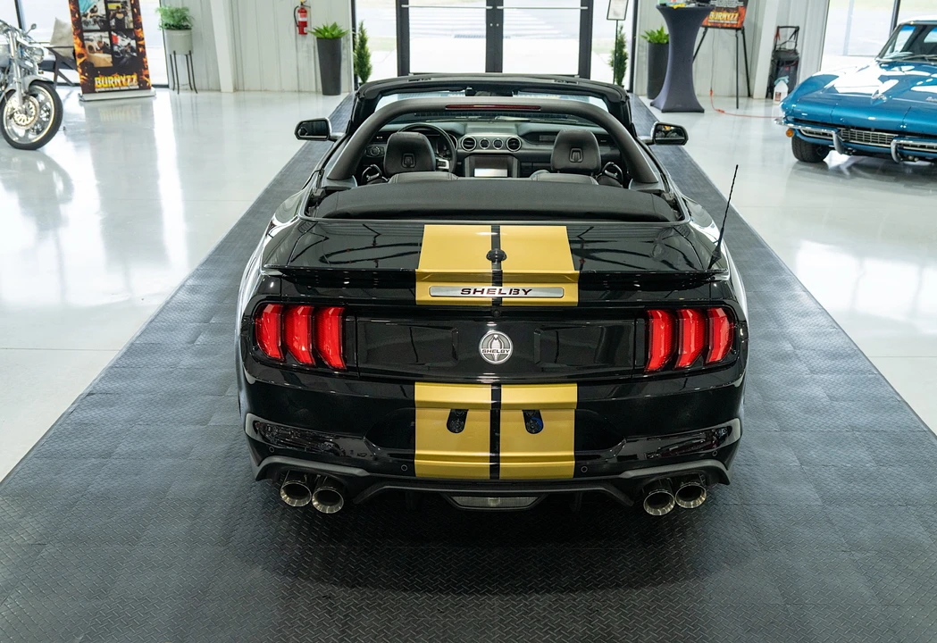 2019 Ford S550 Shelby Mustang GT & GT-H & Terlingua & GTE - Image 10 of 31