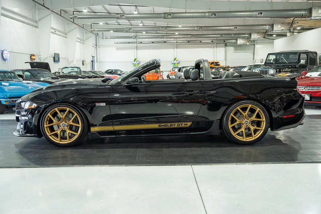 2019 Ford S550 Shelby Mustang GT & GT-H & Terlingua & GTE - Image 15 of 31