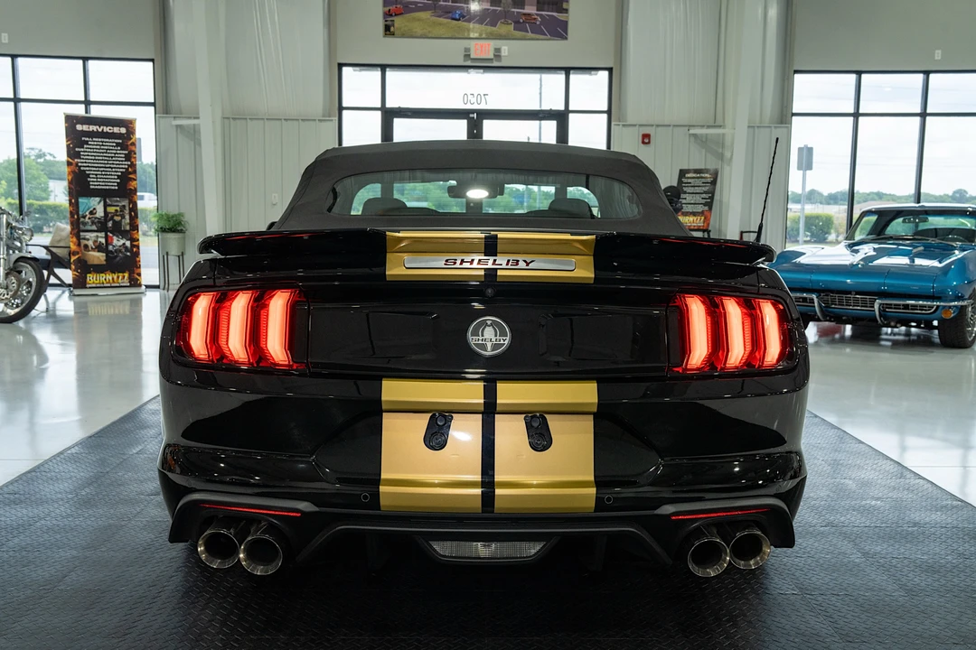 2019 Ford S550 Shelby Mustang GT & GT-H & Terlingua & GTE - Image 25 of 31