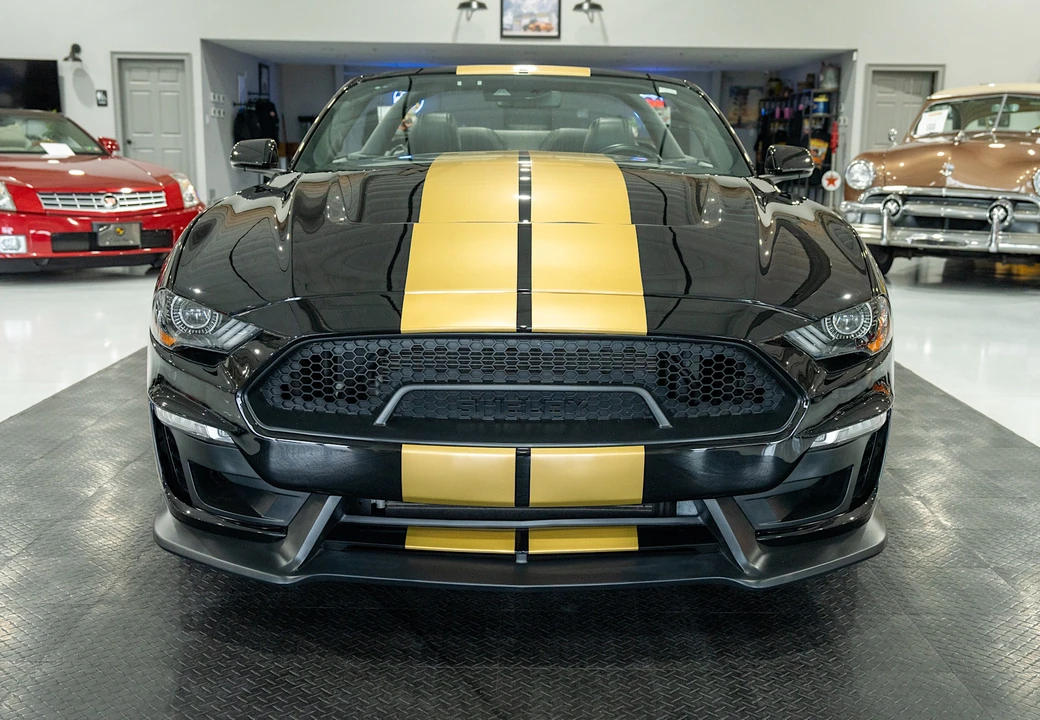 2019 Ford S550 Shelby Mustang GT & GT-H & Terlingua & GTE - Image 16 of 31