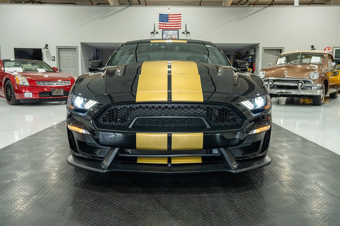 2019 Ford S550 Shelby Mustang GT & GT-H & Terlingua & GTE - Image 19 of 31
