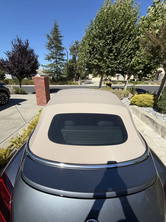 2019 Volkswagen A5 Beetle - Image 31 of 31
