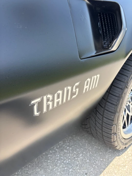 1979 Pontiac Firebird Trans Am 2nd Gen - Image 29 of 31