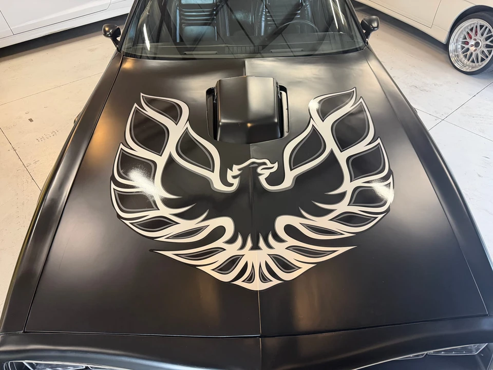 1979 Pontiac Firebird Trans Am 2nd Gen - Image 30 of 31