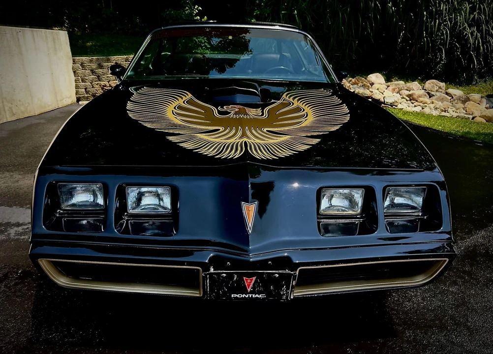 1981 Pontiac Firebird Trans Am 2nd Gen - Image 6 of 31