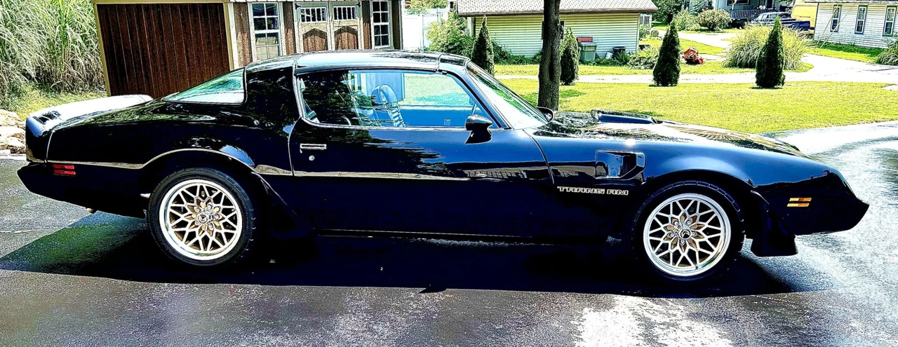 1981 Pontiac Firebird Trans Am 2nd Gen - Image 11 of 31