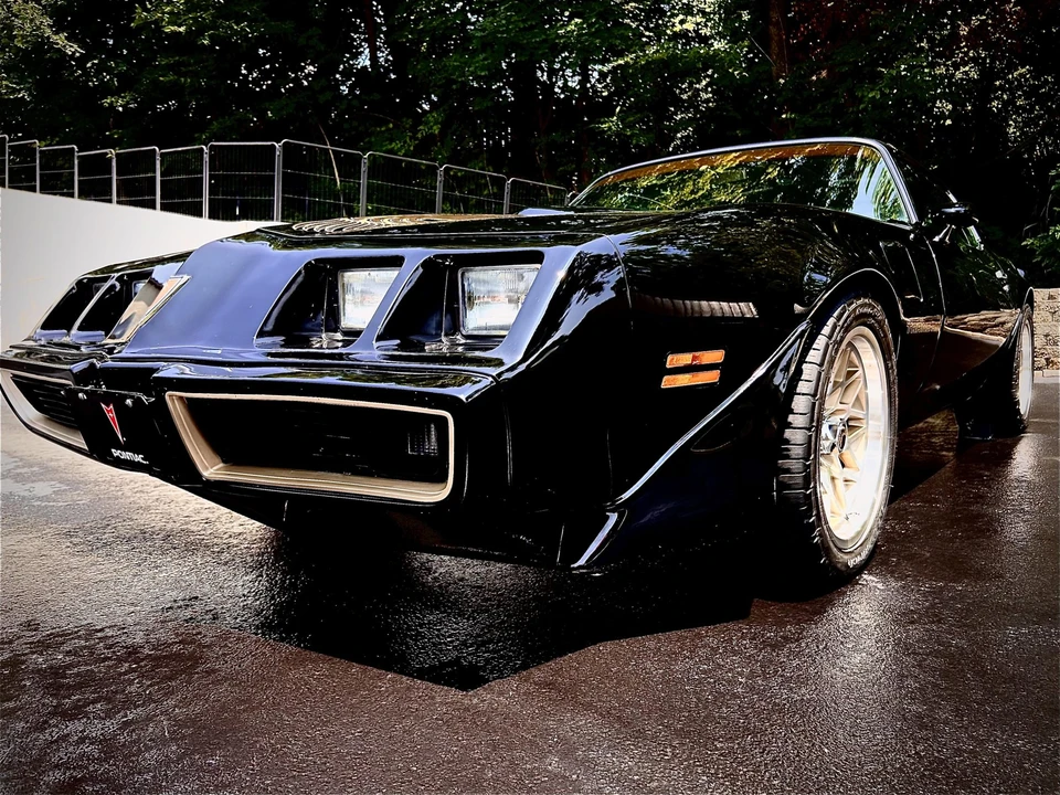 1981 Pontiac Firebird Trans Am 2nd Gen - Image 25 of 31
