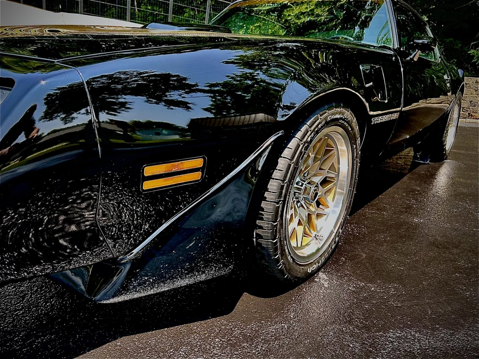 1981 Pontiac Firebird Trans Am 2nd Gen - Image 31 of 31