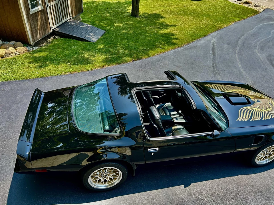 1981 Pontiac Firebird Trans Am 2nd Gen - Image 13 of 31