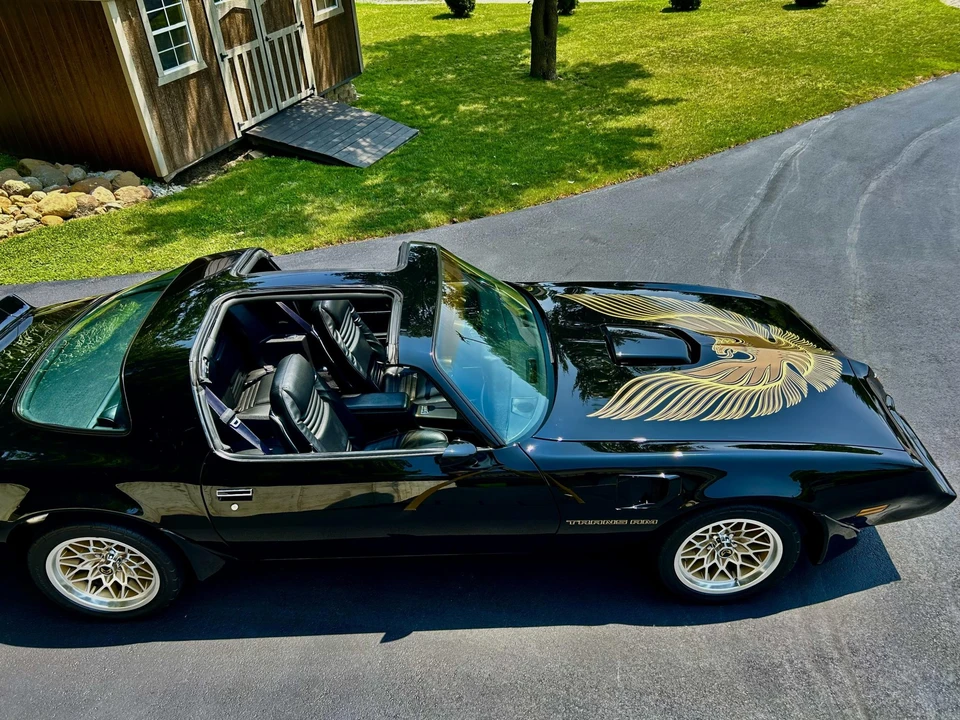 1981 Pontiac Firebird Trans Am 2nd Gen - Image 12 of 31