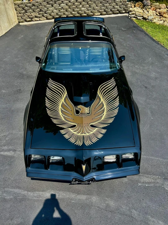 1981 Pontiac Firebird Trans Am 2nd Gen - Image 24 of 31
