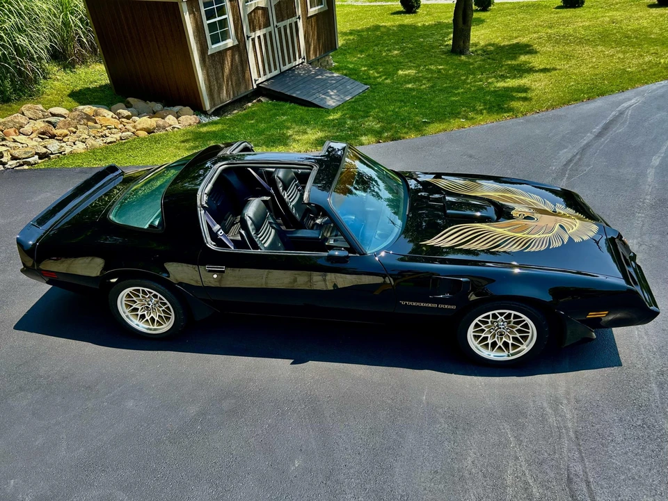 1981 Pontiac Firebird Trans Am 2nd Gen - Image 10 of 31