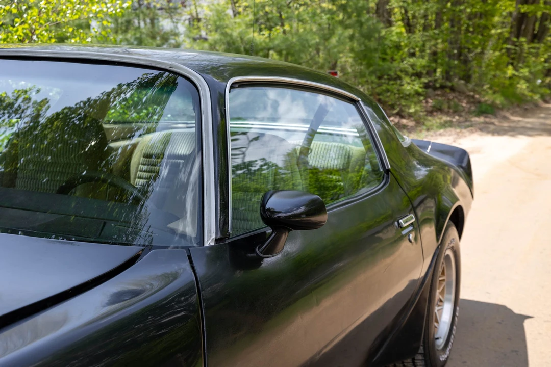 1981 Pontiac Firebird Trans Am 2nd Gen - Image 19 of 31