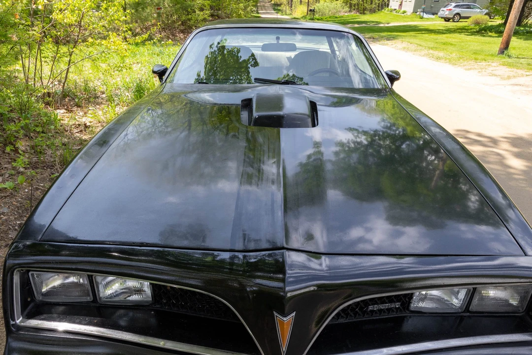 1981 Pontiac Firebird Trans Am 2nd Gen - Image 12 of 31