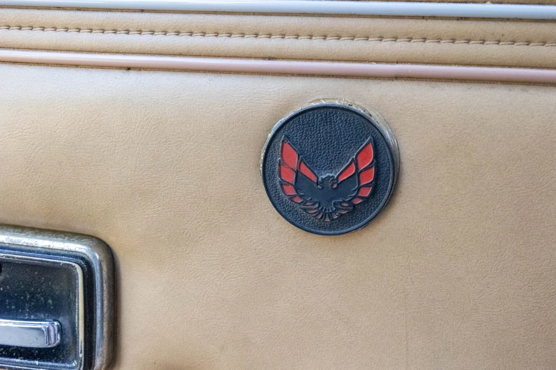 1981 Pontiac Firebird Trans Am 2nd Gen - Image 28 of 31