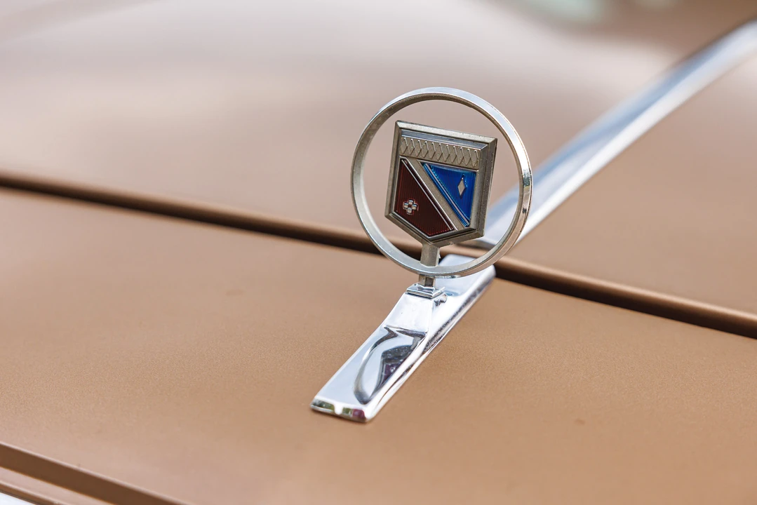 1981 Buick Electra - Image 15 of 31