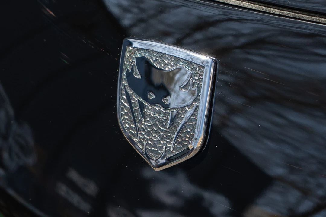2010 Dodge Viper ACR 4th Gen - Image 29 of 31