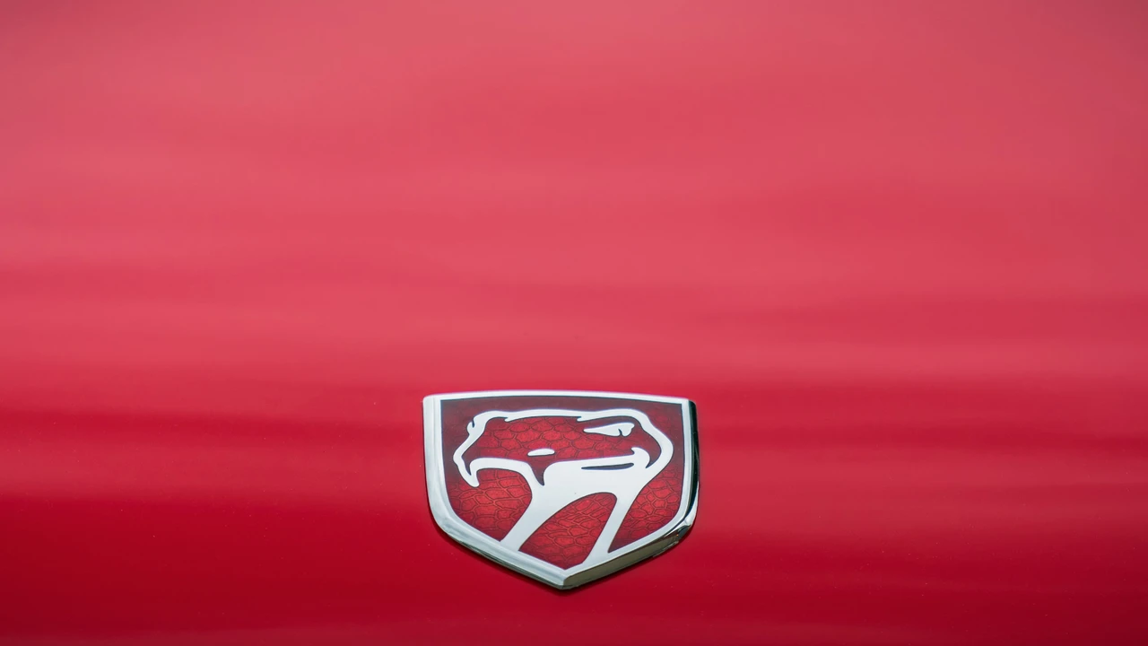 1995 Dodge Viper 1st Gen - Image 19 of 31