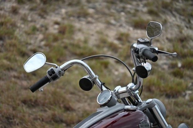 2009 Harley-Davidson Softail - Image 4 of 6