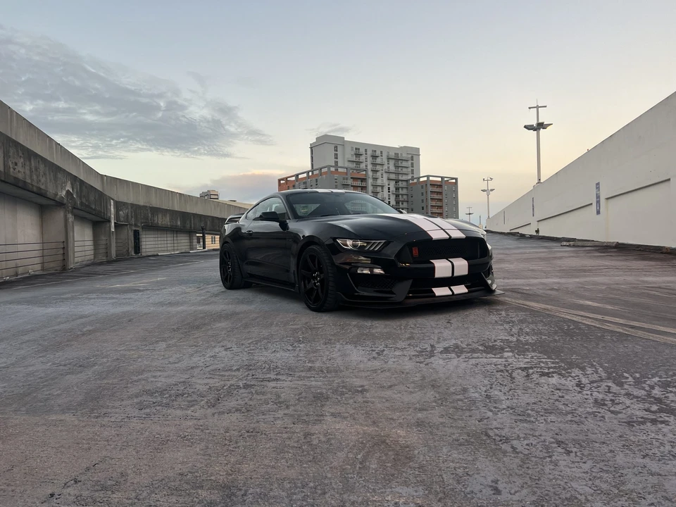 2019 Ford S550 Shelby Mustang GT350R - Image 12 of 31