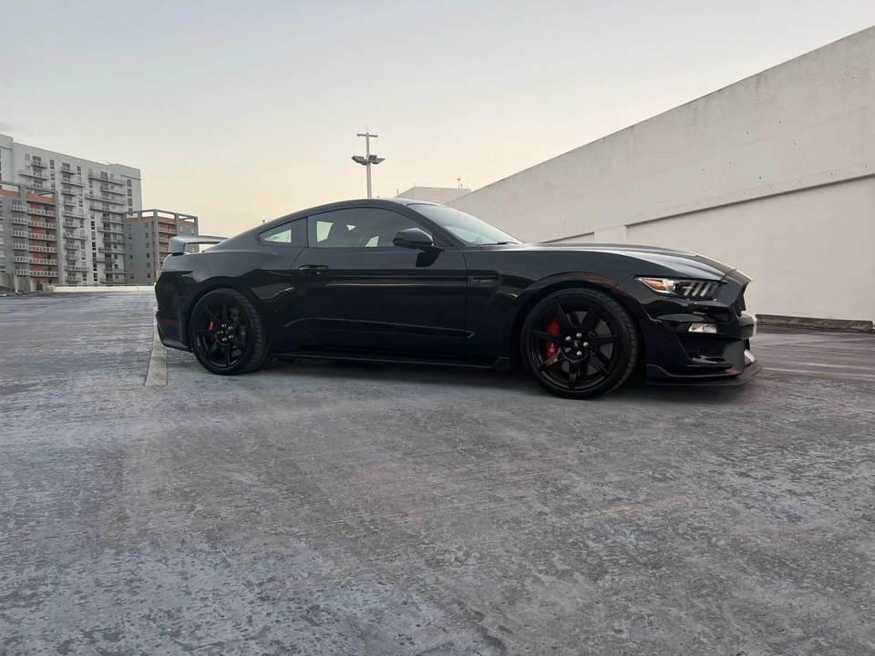 2019 Ford S550 Shelby Mustang GT350R - Image 11 of 31