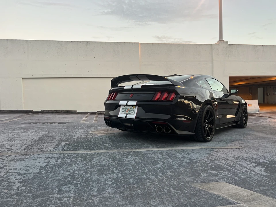 2019 Ford S550 Shelby Mustang GT350R - Image 10 of 31