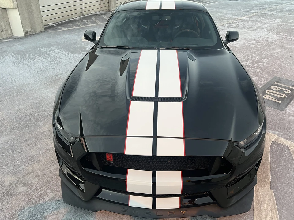 2019 Ford S550 Shelby Mustang GT350R - Image 13 of 31