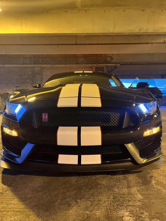 2019 Ford S550 Shelby Mustang GT350R - Image 15 of 31