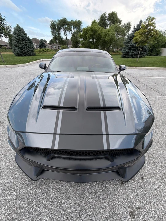 2019 Ford Shelby Mustang - Image 14 of 31