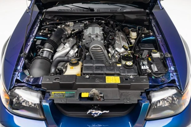 2004 Ford SN95 Mustang Cobra - Image 6 of 7