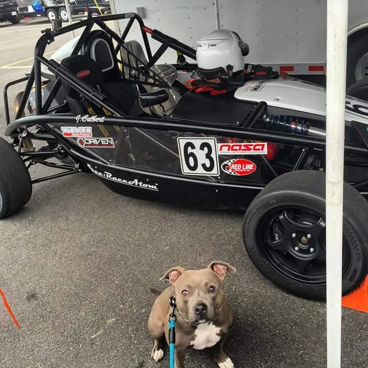 2015 Ariel Atom - Image 18 of 31