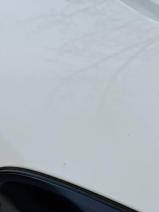 2006 Honda AP2 S2000 - Image 21 of 31